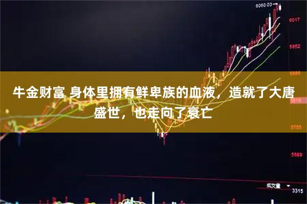 牛金财富 身体里拥有鲜卑族的血液，造就了大唐盛世，也走向了衰亡